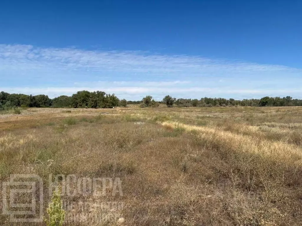 Участок в Волгоградская область, Калачевский район, Ильевское с/пос, ... - Фото 1