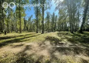 Участок в Майминский район, село Манжерок (12.5 м) - Фото 1