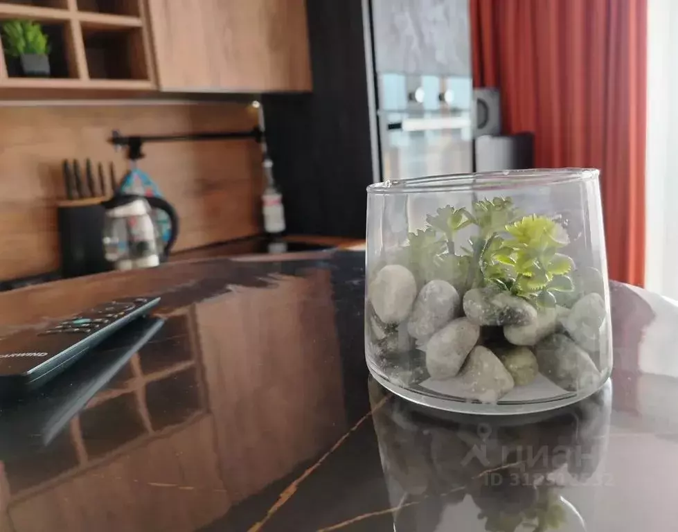 Студия Ленинградская область, Всеволожский район, пос. Бугры ул. ... - Фото 1