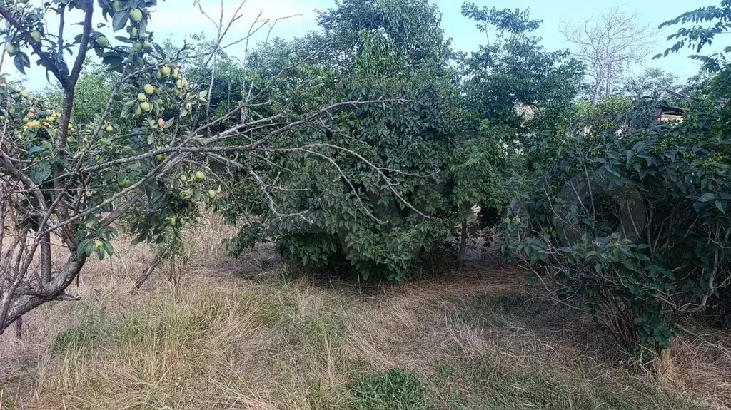 Дом 31 м на участке 8 сот. - Фото 1