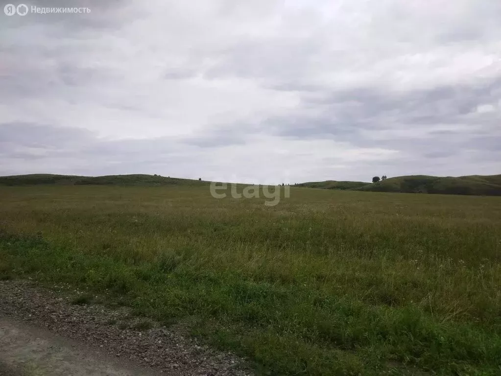 Участок в Усть-Калманский район, село Слюдянка (51792.5 м) - Фото 1