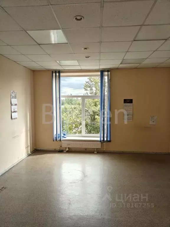 Офис в Санкт-Петербург Минеральная ул., 13 (26 м) - Фото 1