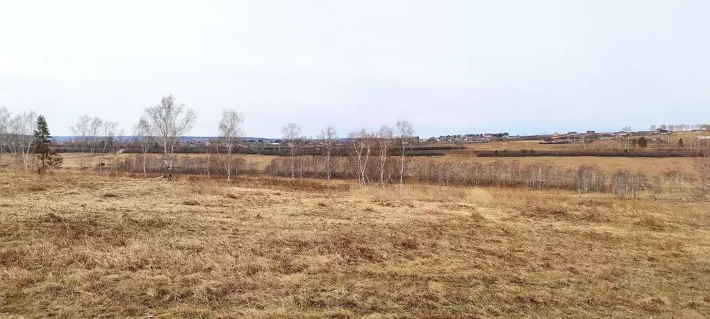 Участок в Иркутская область, Заларинский муниципальный округ Р-255 ... - Фото 2