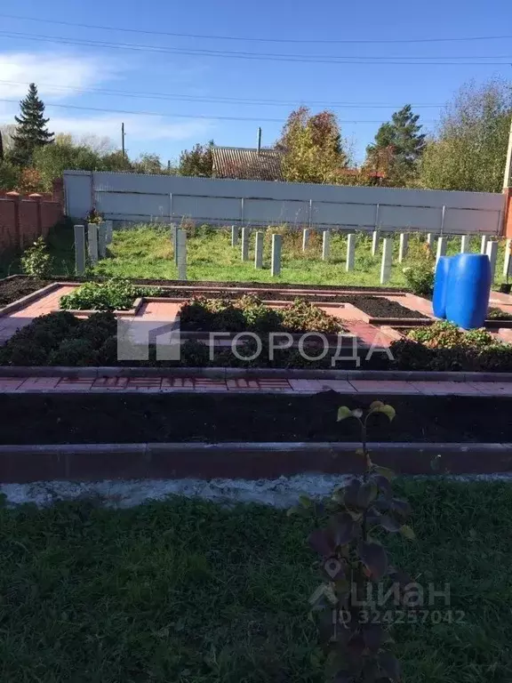 Участок в Новосибирская область, Новосибирск Садовод садовое ... - Фото 1