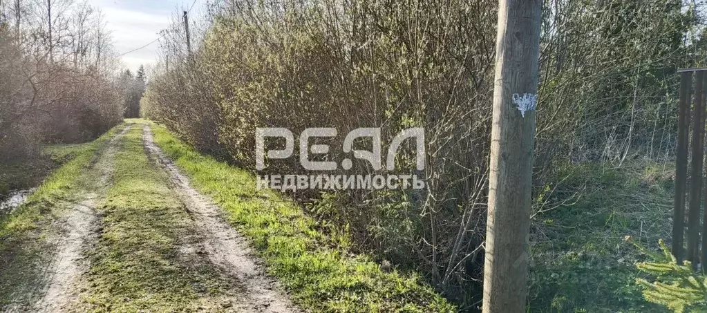 Участок в Ленинградская область, Гатчинский муниципальный округ, ... - Фото 1