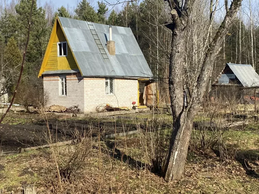 Дом в Новгородская область, Солецкий муниципальный округ, Рассвет ... - Фото 0