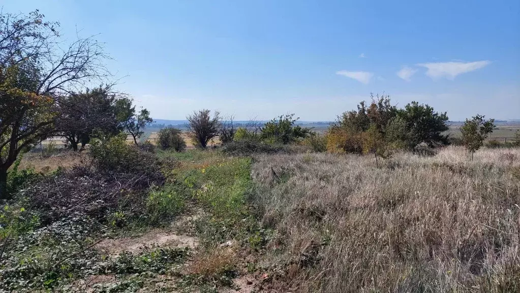 Участок в Краснодарский край, Темрюк Морская ул., 22/2 (8.0 сот.) - Фото 1