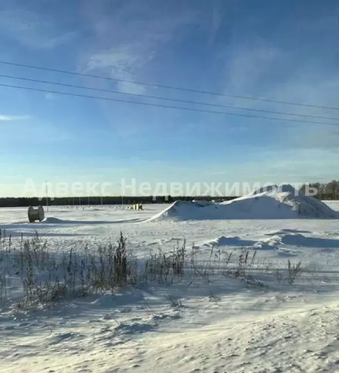 Участок в Тюменская область, Тюменский район, с. Каменка  (7.32 сот.) - Фото 1