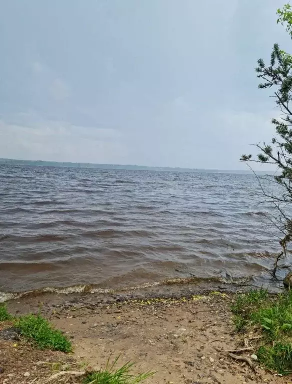 Участок в Ярославская область, Угличский муниципальный округ, д. ... - Фото 1