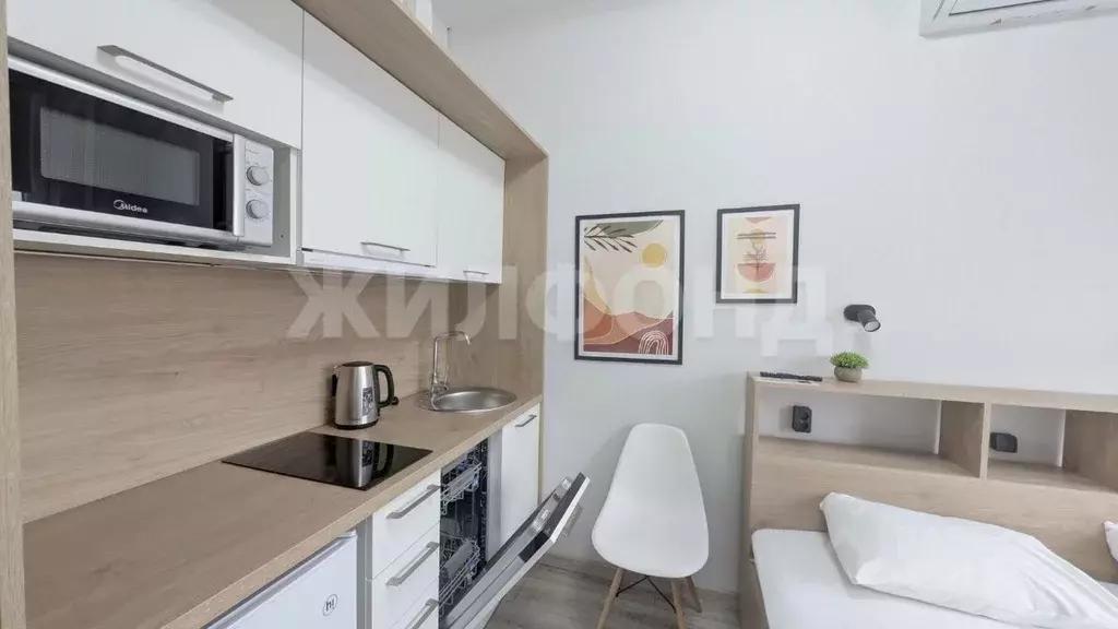 Студия Новосибирская область, Новосибирск Ипподромская ул., 15 (21.1 ... - Фото 2