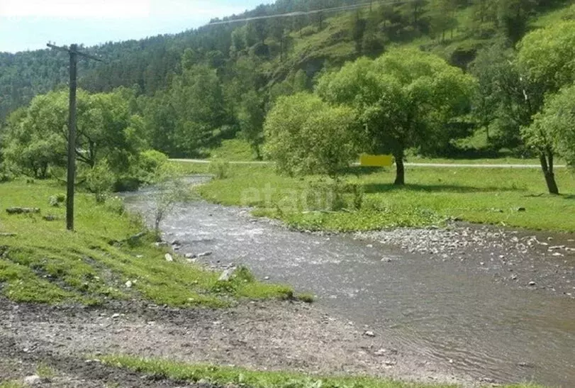 Участок в Чемальский район, село Бешпельтир (1390 м) - Фото 2