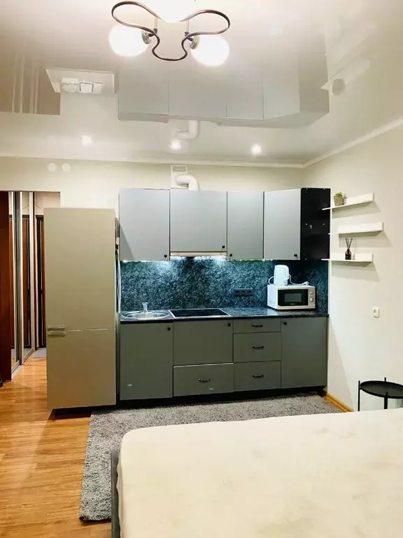 Студия Санкт-Петербург ул. Оптиков, 45к1 (26.0 м) - Фото 1