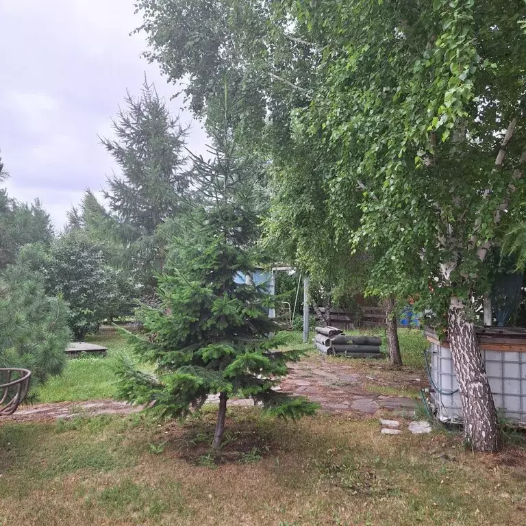 Коттедж в Омская область, Омский район, с. Дружино, Микрорайон ... - Фото 1