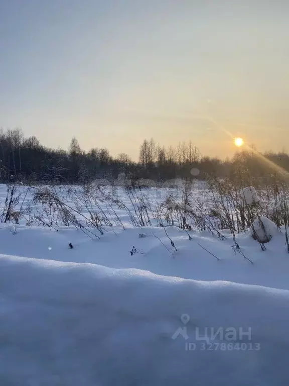 Участок в Тульская область, Алексин городской округ, с. Сотино  (550.0 ... - Фото 1