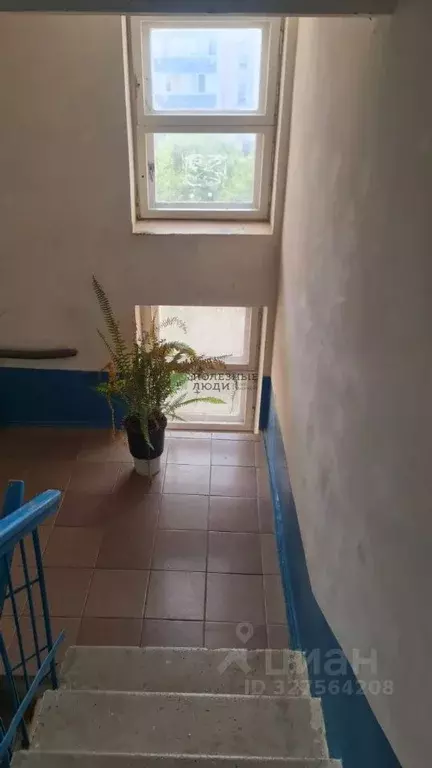 3-к кв. Крым, Евпатория ул. 9 Мая, 126 (96.2 м) - Фото 2