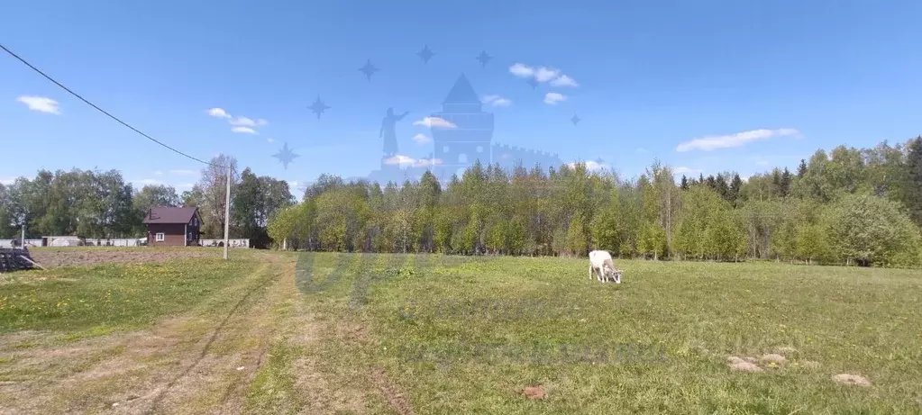 Участок в Нижегородская область, Чкаловск городской округ, с. ... - Фото 0