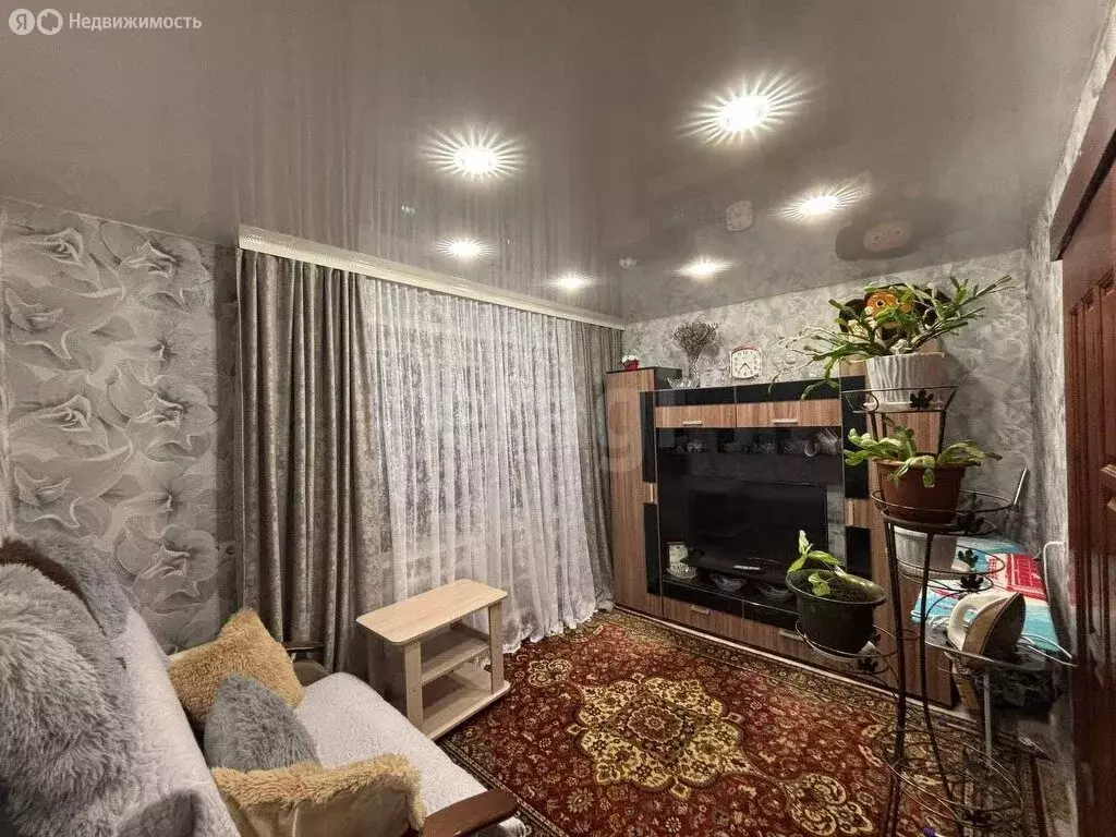 1-комнатная квартира: Ромоданово, улица Анны Лусс, 5 (23.8 м) - Фото 2