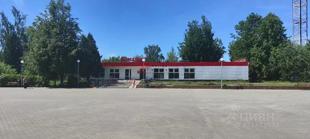 Торговая площадь в Московская область, Ступино городской округ, Малино ... - Фото 1
