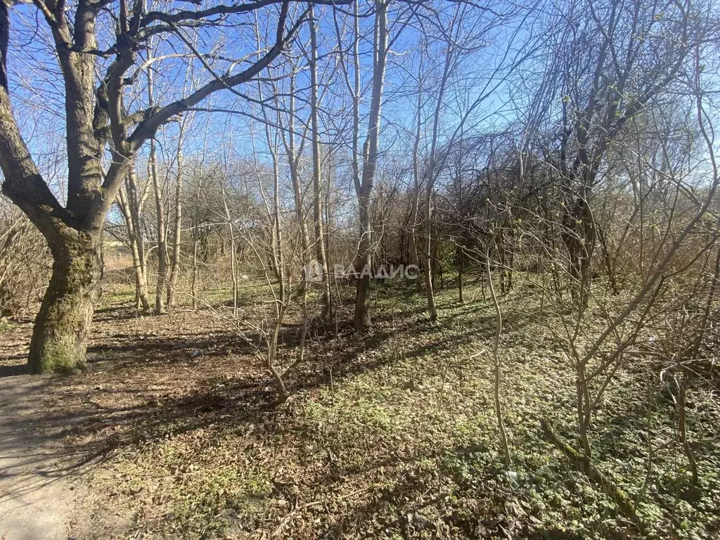 Участок в Калининградская область, Калининград Муромская ул. (6.0 ... - Фото 2