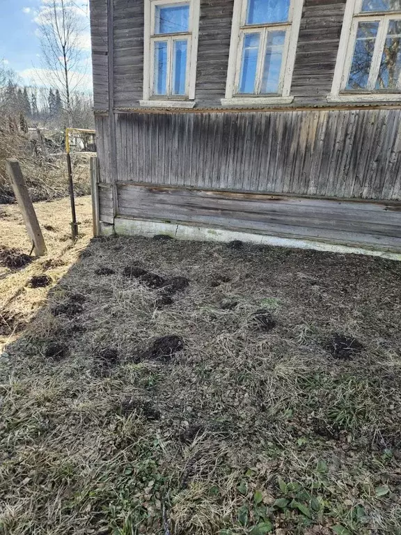 Дом в Новгородская область, Валдай Советский просп. (58 м) - Фото 1