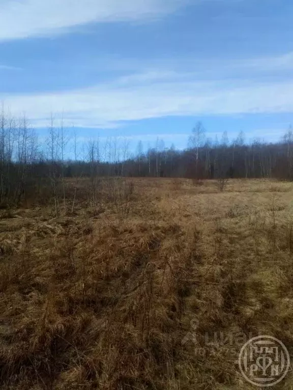 Участок в Новгородская область, Батецкий муниципальный округ, д. ... - Фото 2