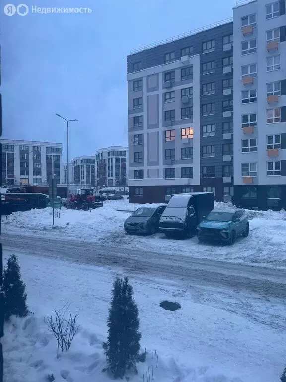 1-комнатная квартира: деревня Глухово, Романовская улица, 19 (31 м) - Фото 1