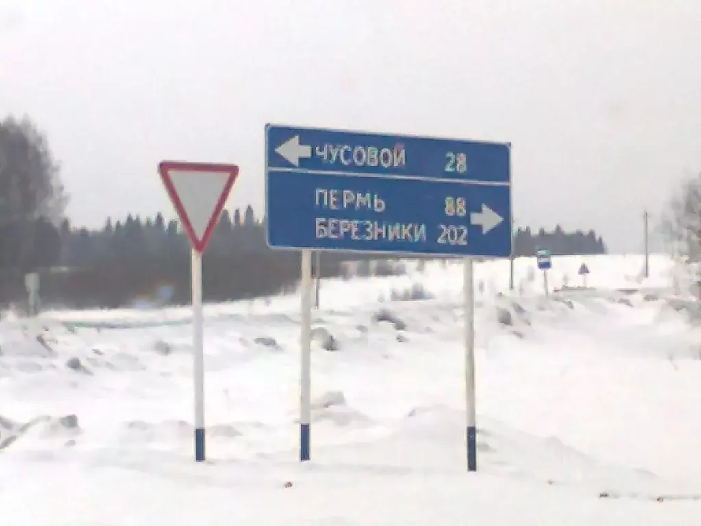 Участок в Пермский край, Чусовской городской округ, д. Шушпанка, ... - Фото 0