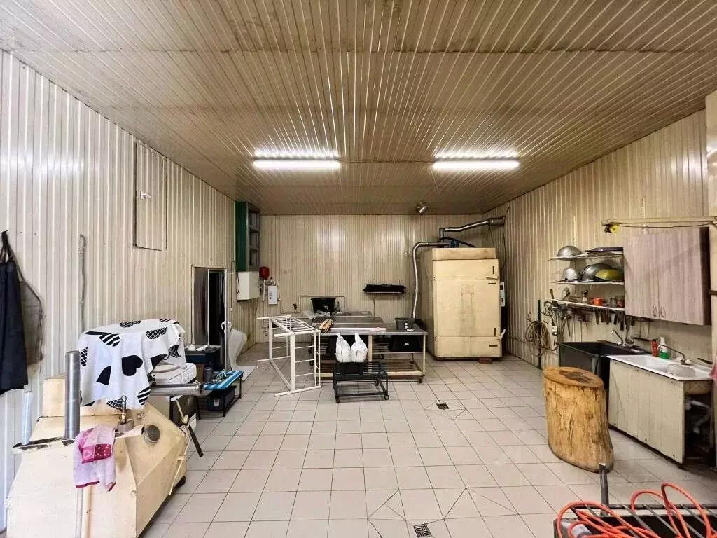 Производственное помещение в Татарстан, Лаишевский район, с. Сокуры ... - Фото 2