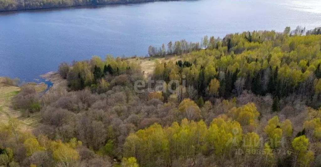 Участок в Костромская область, Красносельский район, Прискоковское ... - Фото 0