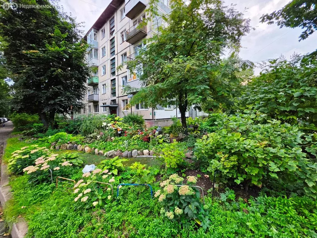 1-комнатная квартира: Санкт-Петербург, проспект Энергетиков, 32к2 ... - Фото 1