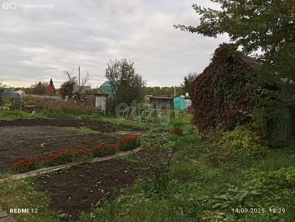 Участок в Томск, садовое некоммерческое товарищество Ромашка, 9-я ... - Фото 2
