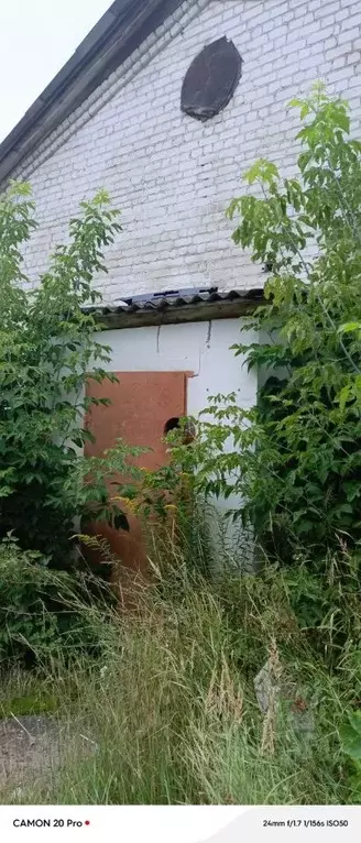 Помещение свободного назначения в Нижегородская область, Заволжье г. ... - Фото 2