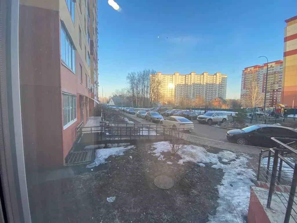 Помещение свободного назначения в Московская область, Люберцы ... - Фото 1