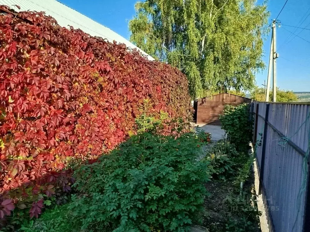 Дом в Кемеровская область, Новокузнецк Ельцовская ул., 2 (56 м) - Фото 2