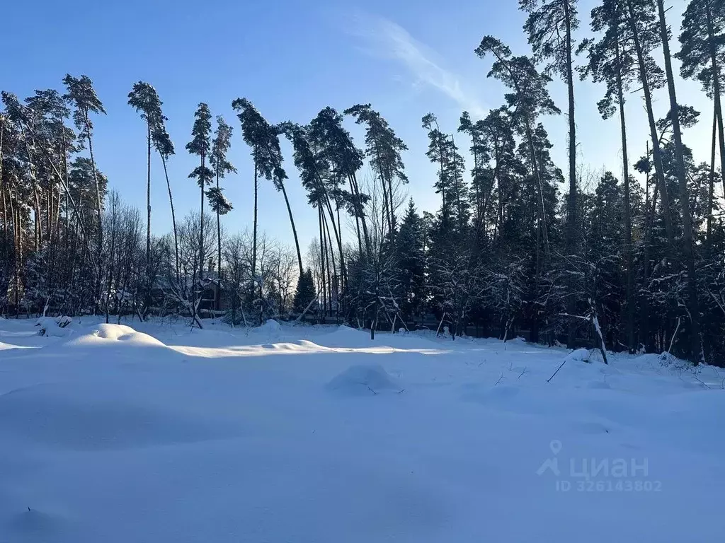 Участок в Москва д. Городище, уч2-1 (6.3 сот.) - Фото 2