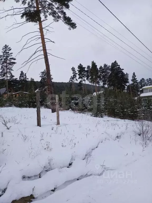 Участок в Бурятия, Улан-Удэ ул. Купеческая, 26 (8.0 сот.) - Фото 1