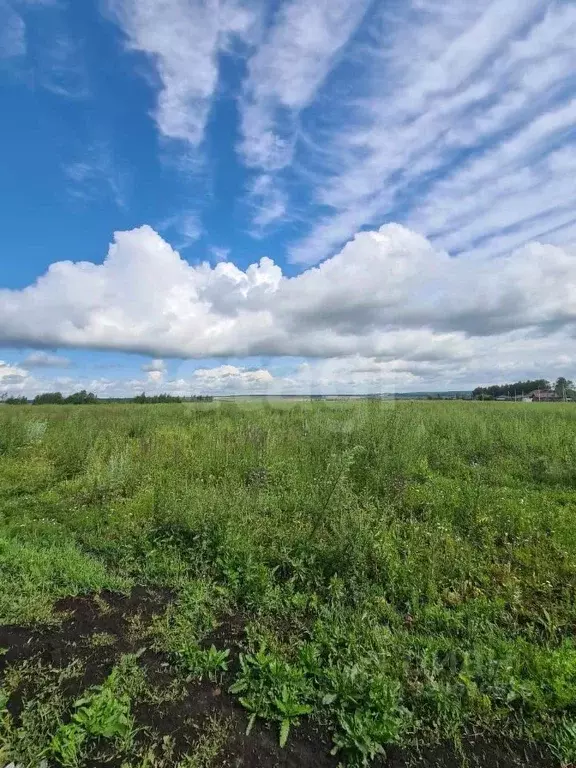 Участок в Мордовия, Лямбирский район, Берсеневское с/пос, Альтерра кп  ... - Фото 2