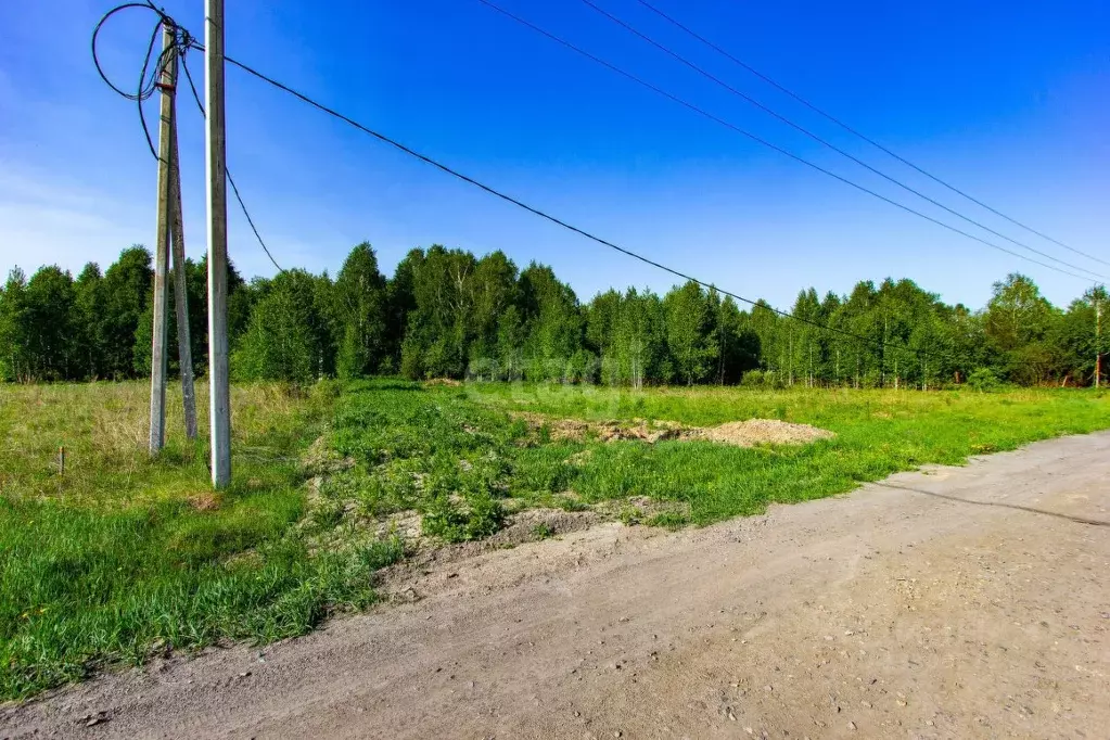 Участок в Новосибирская область, Новосибирский район, Криводановский ... - Фото 0