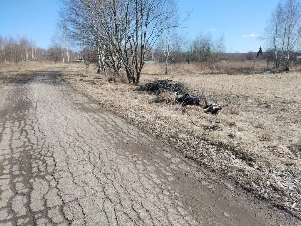 Участок в Владимирская область, Вязники муниципальное образование, д. ... - Фото 1