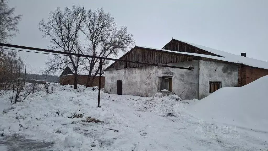Склад в Новосибирская область, Ордынский район, пос. Чернаково ул. ... - Фото 2