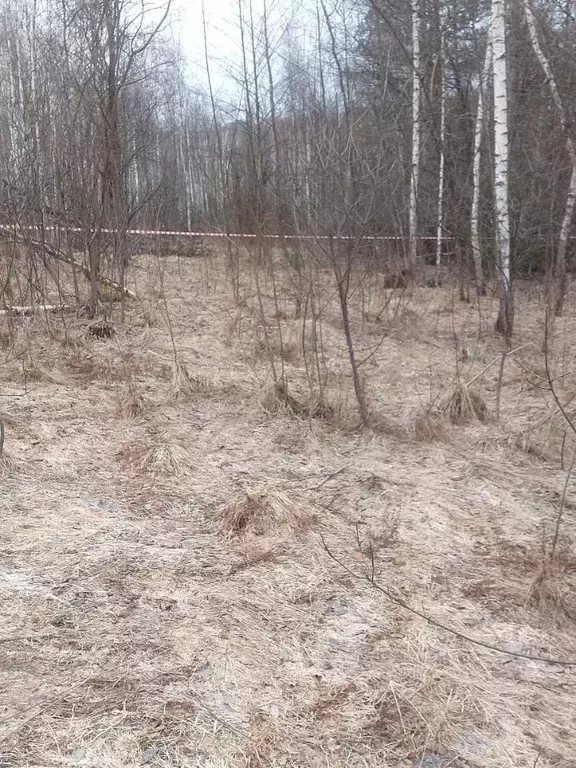Участок в Калужская область, Калуга городской округ, д. Матюнино  ... - Фото 0