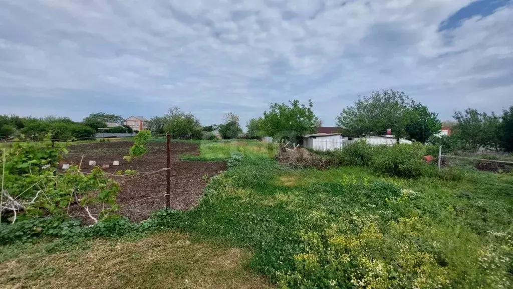 Участок в Краснодарский край, Ейский район, Камышеватская ст-ца ... - Фото 1