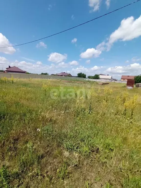 Участок в Белгородская область, Белгородский район, Беломестненское ... - Фото 0