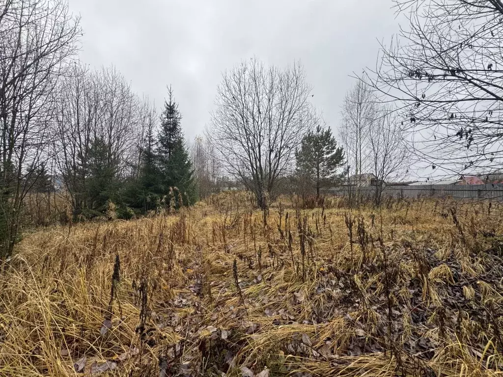 Участок в Владимирская область, Александровский муниципальный округ, ... - Фото 1