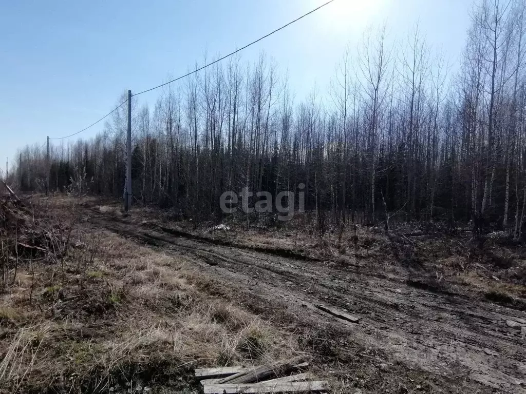 Участок в Ханты-Мансийский АО, Ханты-Мансийск Таволожное урочище,  ... - Фото 0