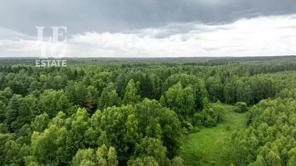 Участок в Московская область, Можайский муниципальный округ, Борисово ... - Фото 1