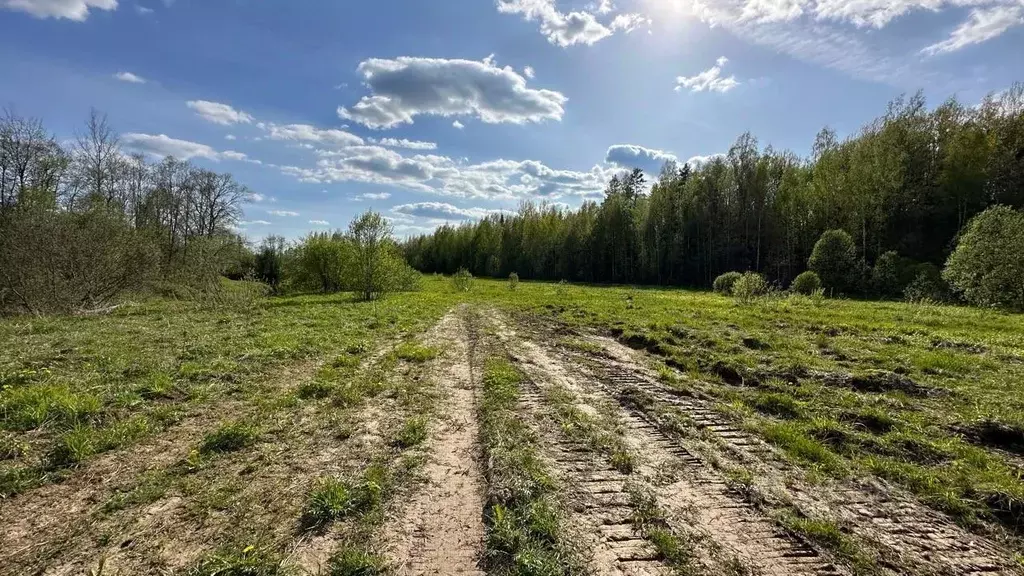 участок в новгородская область, маловишерское городское поселение, д. . - Фото 1