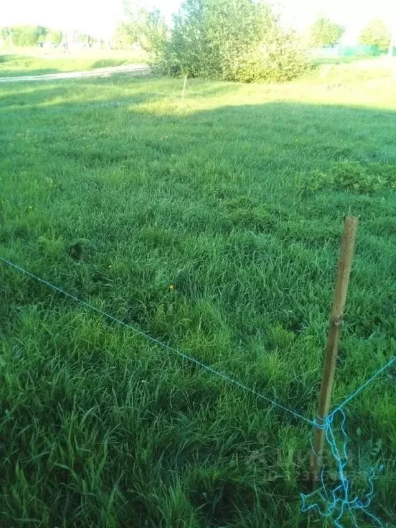 Участок в Липецкая область, Усмань пер. Удачный, 32 (10.0 сот.) - Фото 2