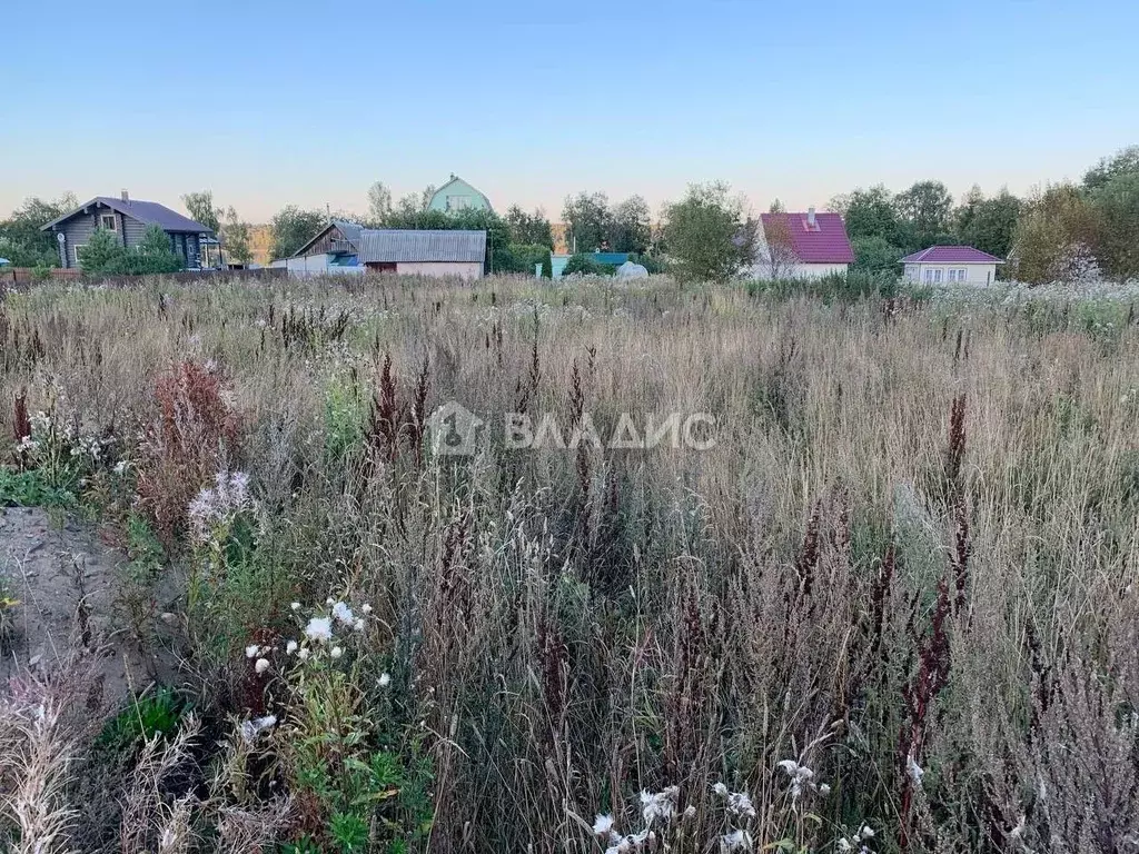 Участок в Карелия, Прионежский район, Заозерское с/пос, д. Суйсарь  ... - Фото 0