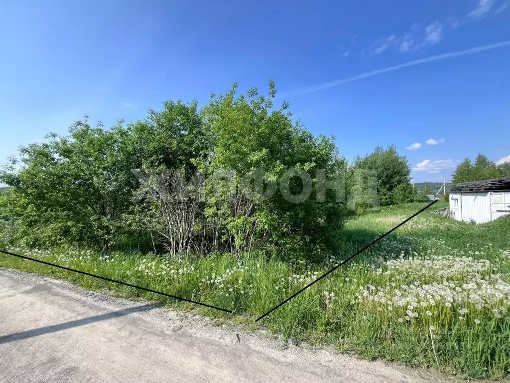 Участок в Новосибирская область, Новосибирский район, Барышевский ... - Фото 1